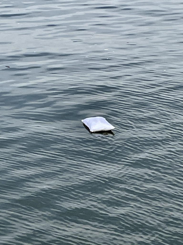Pillow floating on the Hudson River