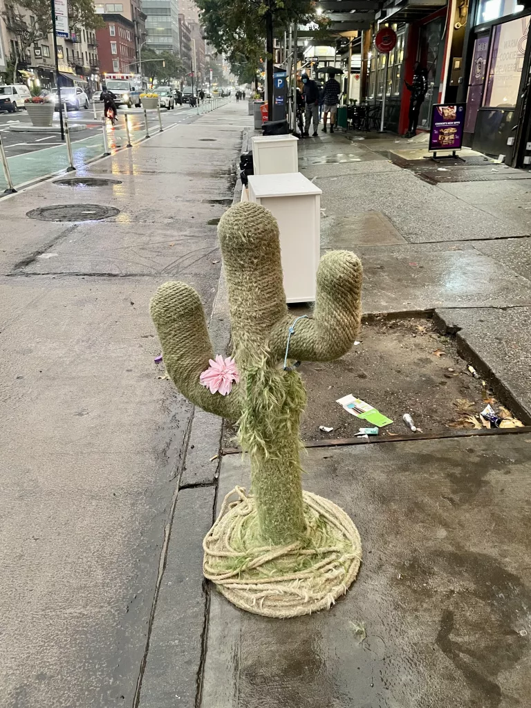 Abandoned cactus cat scratching post on 9th Avenue in Hell's Kitchen, New York City.